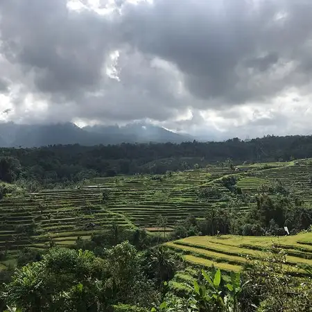 Gambar Makanan Pacung Restaurant 11