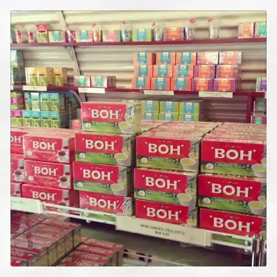 Boh Tea Shop