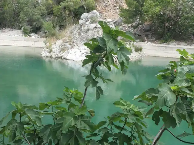 Kanyon Park Restorant'nin yemek ve ambiyans fotoğrafları 17