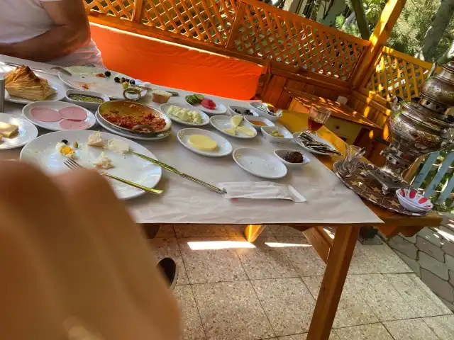 Yaylabaşı Sırık Kebabı'nin yemek ve ambiyans fotoğrafları 1