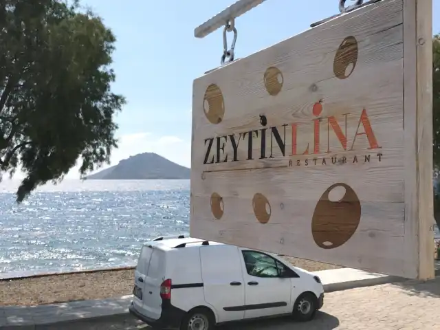 Zeytinlina Restaurant'nin yemek ve ambiyans fotoğrafları 6