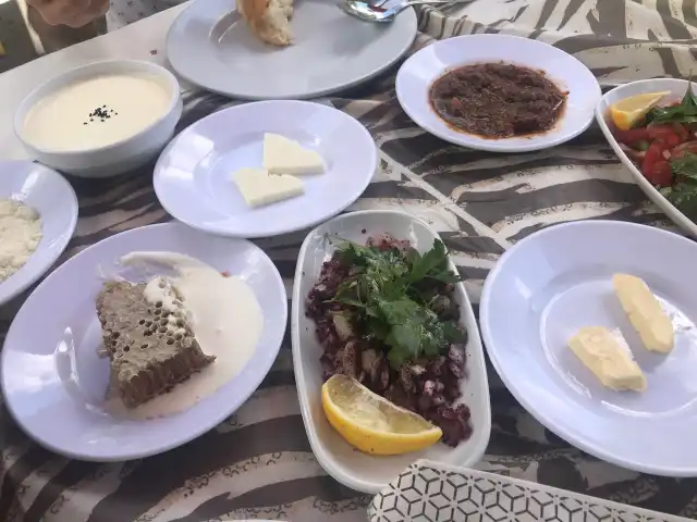 Hasan Usta Et Mangal'nin yemek ve ambiyans fotoğrafları 14