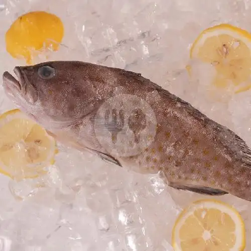 Gambar Makanan Tanjung Bira, Pecenongan 20