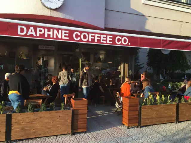 Daphne Coffee Co.'nin yemek ve ambiyans fotoğrafları 14