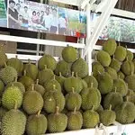 Durian Specialist Food Photo 8