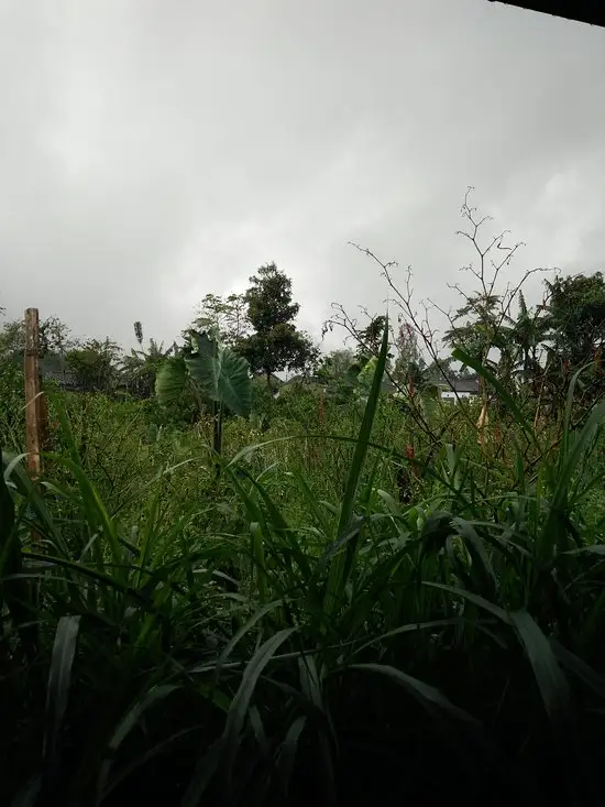 Gambar Makanan Waroeng ngGoenoeng 9