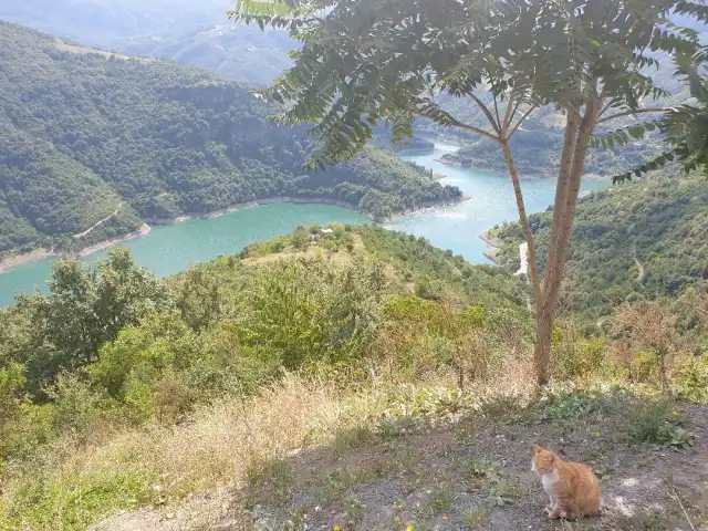 Yuvacık Çamlıtepe Restaurant'nin yemek ve ambiyans fotoğrafları 14