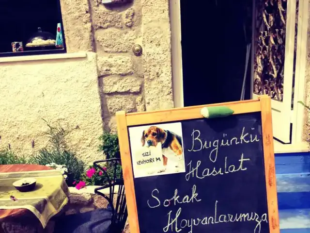 Alaçatı Kapari Bahçe'nin yemek ve ambiyans fotoğrafları 22