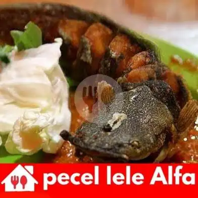 Gambar Makanan Pecel Lele Alfa, Daendeles 1