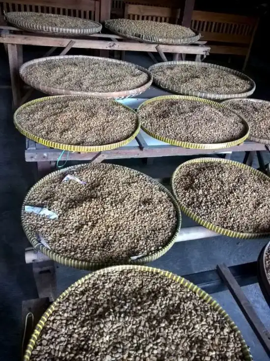 Gambar Makanan Kopi Luwak Mataram 3