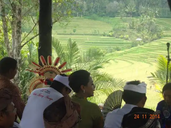 Gambar Makanan Warung Tepi Sawah 10