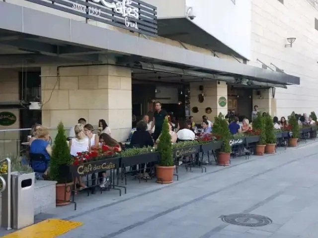 Cafe Des Cafes'nin yemek ve ambiyans fotoğrafları 3