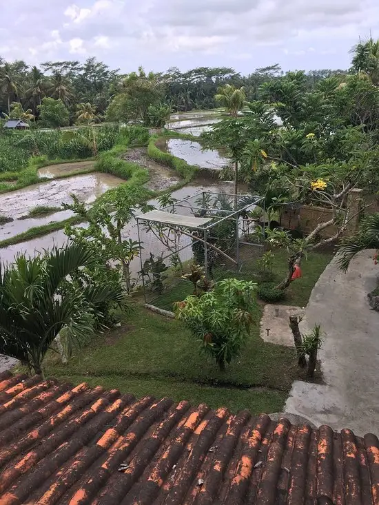 Gambar Makanan Rapuan Cili 19