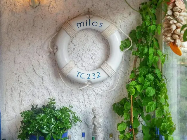 Milos Rum Meyhanesi'nin yemek ve ambiyans fotoğrafları 17