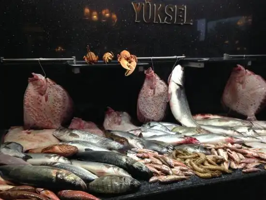 Yuksel Balik Seafood Restaurant'nin yemek ve ambiyans fotoğrafları 43