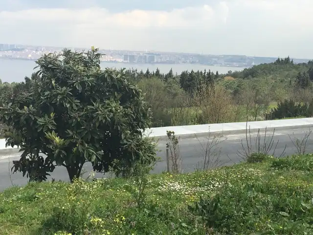 İstanbul Üniversitesi Göl Lokantası'nin yemek ve ambiyans fotoğrafları 5