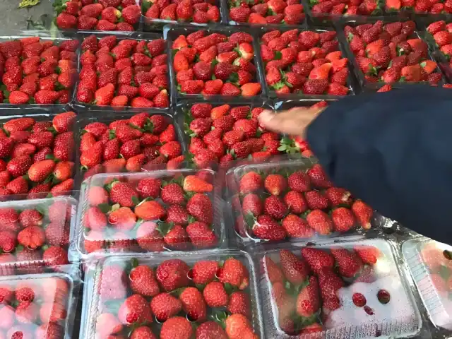 Fresh Fruits & Vegetable Stalls Food Photo 14