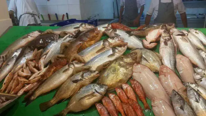 Yeşilköy Yalıer 2 Balık Lokantası'nin yemek ve ambiyans fotoğrafları 1