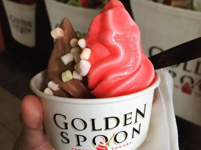 Golden Spoon Food Photo 7