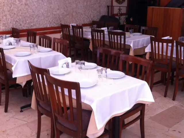 Manolya Restaurant'nin yemek ve ambiyans fotoğrafları 20