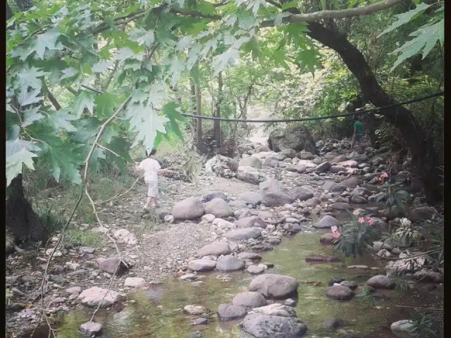 Çiçekliköy Kahvaltı'nin yemek ve ambiyans fotoğrafları 2