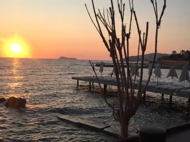 4 Bistro & Pub'nin yemek ve ambiyans fotoğrafları 6