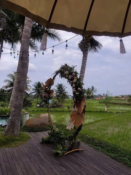 Gambar Makanan Kelapa Muda Ubud 13