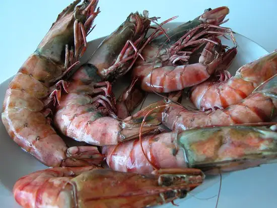 Galata Balık'nin yemek ve ambiyans fotoğrafları 30