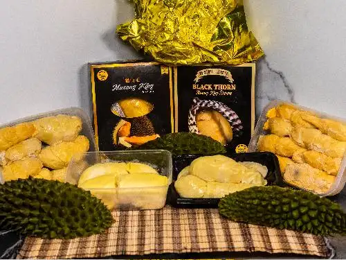 NOJ Durian, Cipete