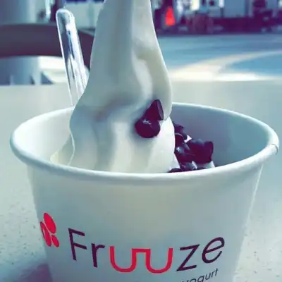 Fruuze Frozen Yogurt