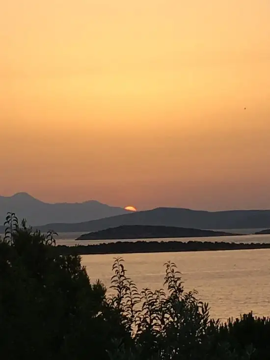 Ildir'nin yemek ve ambiyans fotoğrafları 25