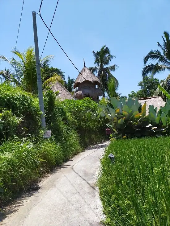 Gambar Makanan Kelapa Muda Ubud 14