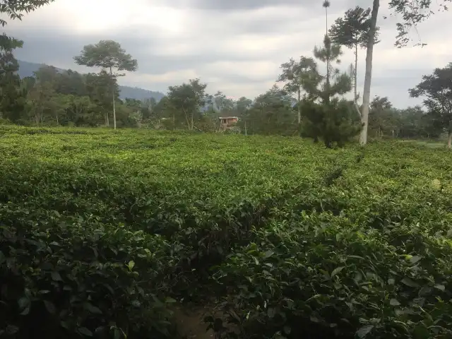 Gambar Makanan Ndoro Dongker Rumah Teh 11