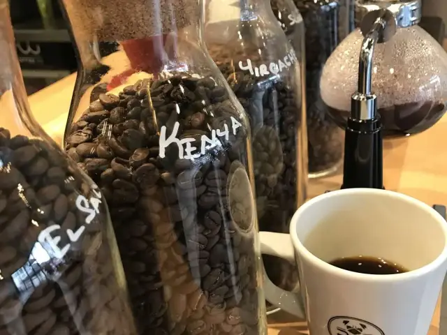 Pug Coffee Co'nin yemek ve ambiyans fotoğrafları 17