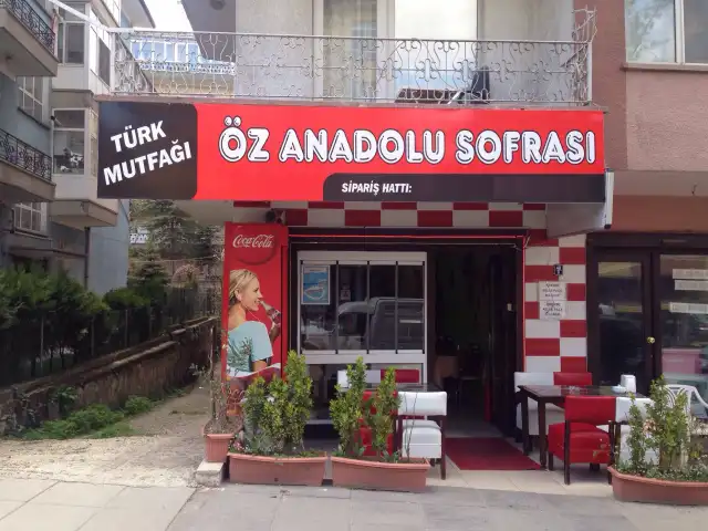 Öz Anadolu Sofrası'nin yemek ve ambiyans fotoğrafları 2
