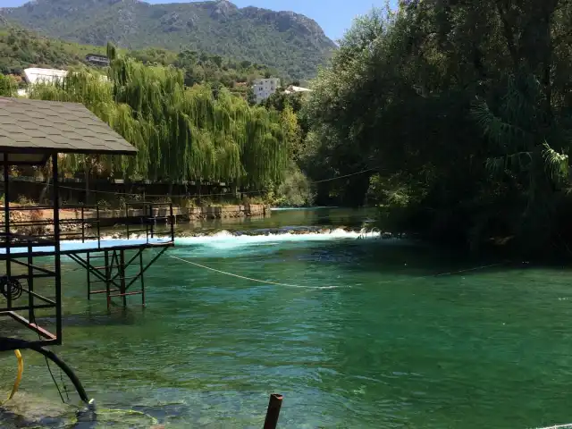 Dim Çayı Manzara Piknik & Restoran'nin yemek ve ambiyans fotoğrafları 5