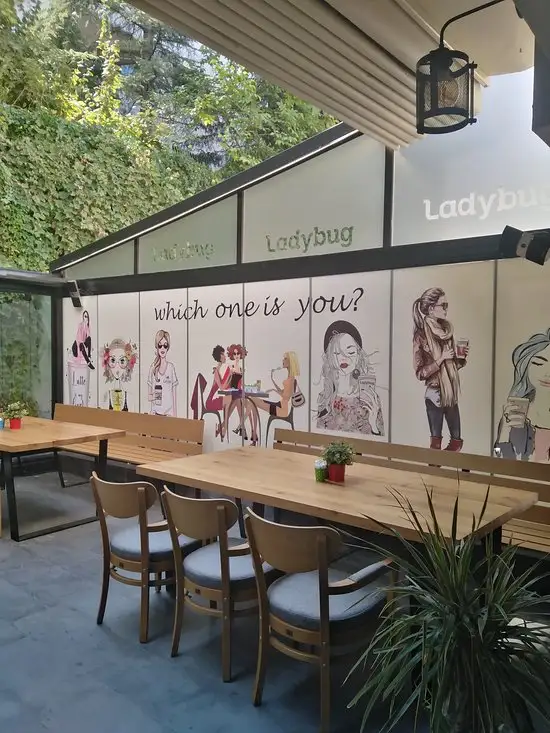 Ladybug Cafe'nin yemek ve ambiyans fotoğrafları 12