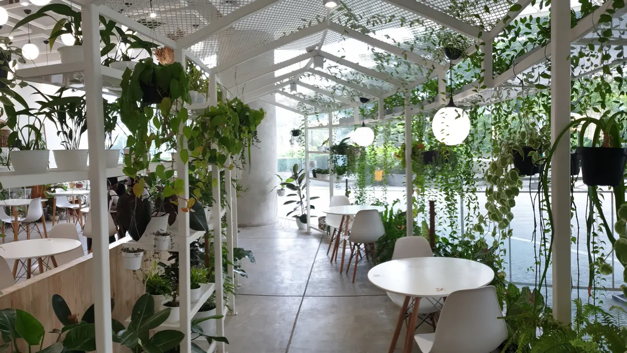 LOF Plants & Kitchen