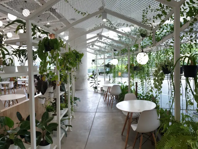 LOF Plants & Kitchen