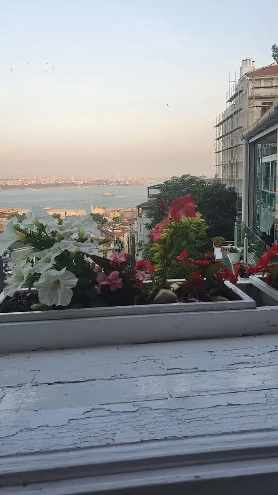 Eleos'nin yemek ve ambiyans fotoğrafları 57