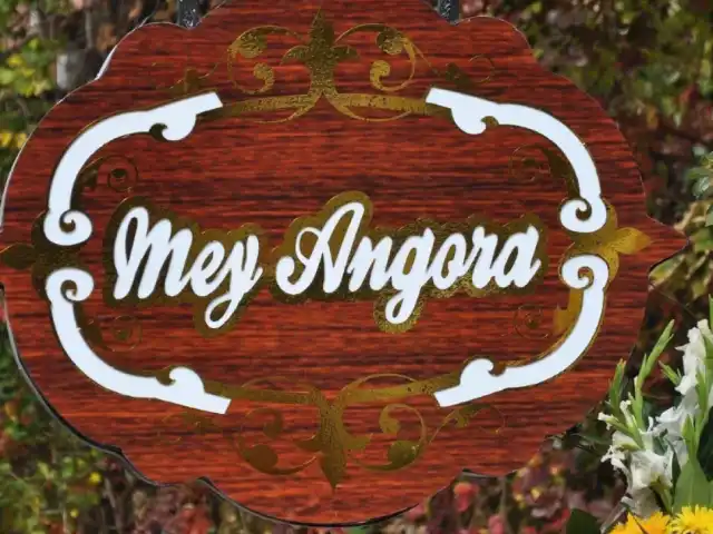 Mey Angora'nin yemek ve ambiyans fotoğrafları 7