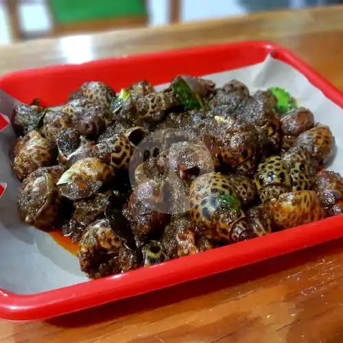 Gambar Makanan Kerang Judesss, Siaga 6