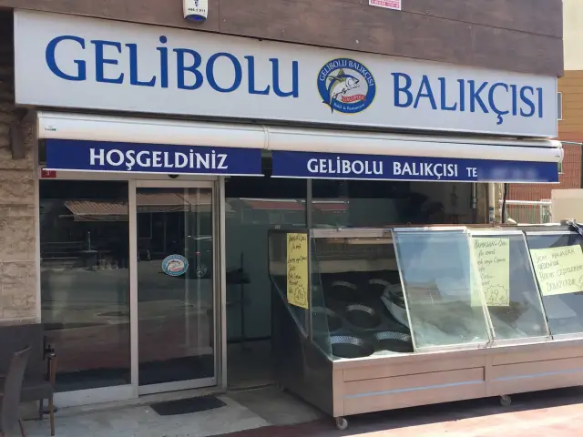 Gelibolu Balıkçısı'nin yemek ve ambiyans fotoğrafları 3