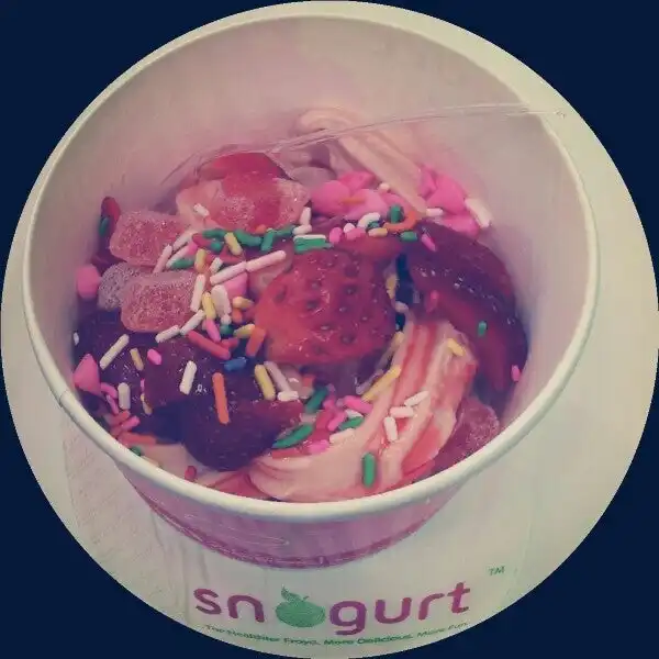 Snogurt Food Photo 3