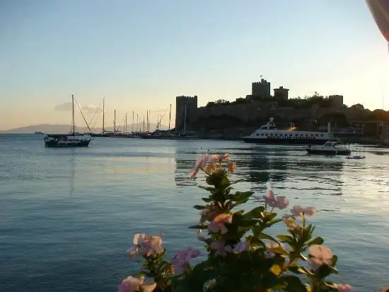 Trança Restaurant'nin yemek ve ambiyans fotoğrafları 48