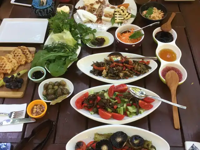 Pell's Gece/Gündüz/Lezzet'nin yemek ve ambiyans fotoğrafları 4