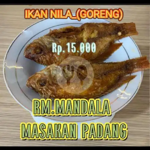 Gambar Makanan Rumah Makan Mandala Masakan Padang 9