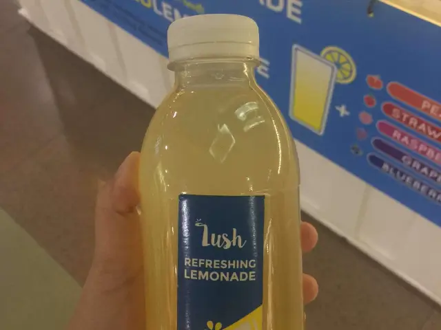 Lush Refreshing Lemonade Food Photo 5