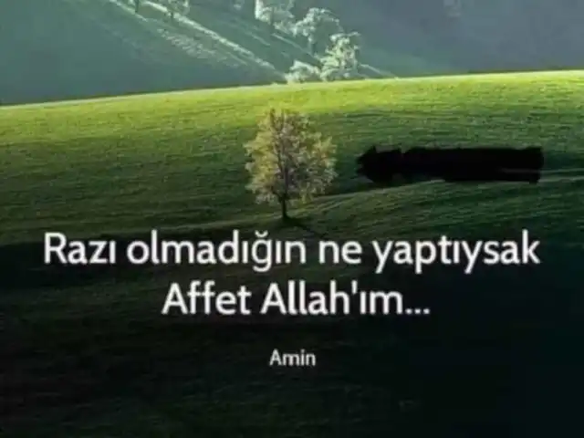 Aslan Baba'nin yemek ve ambiyans fotoğrafları 4