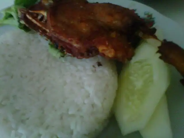 Gambar Makanan Bebek HT 4